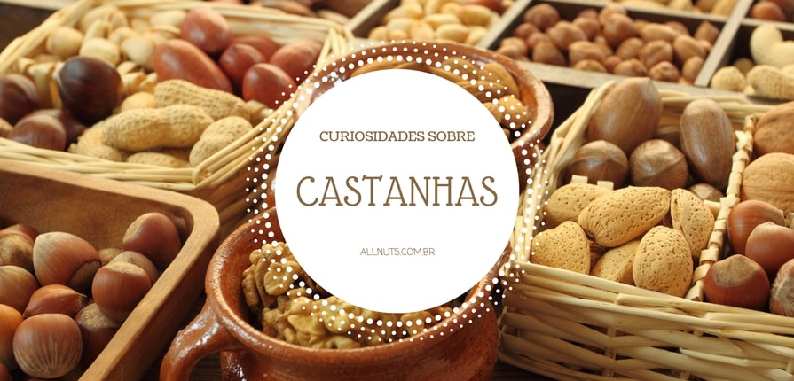 12 Curiosidades Sobre os Diferentes Tipos de Castanhas 1 12-curiosidades-sobre-os-diferentes-tipos-de-castanhas-allnuts