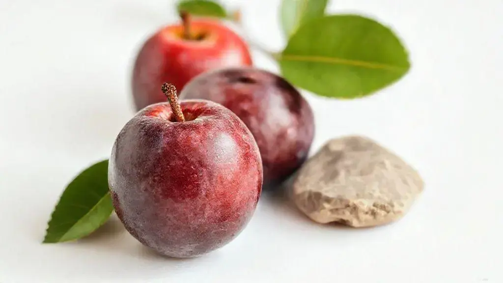 Ameixa com Caroço: Guia Completo Sobre Essa Fruta Nutritiva 1 Ameixa Com Caroco