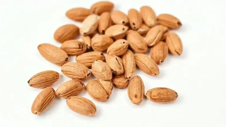 Amêndoas Cruas Naturais Sem Casca: Benefícios, Nutrientes e Como Usar 4 Amendoas Cruas Naturais Sem Casca
