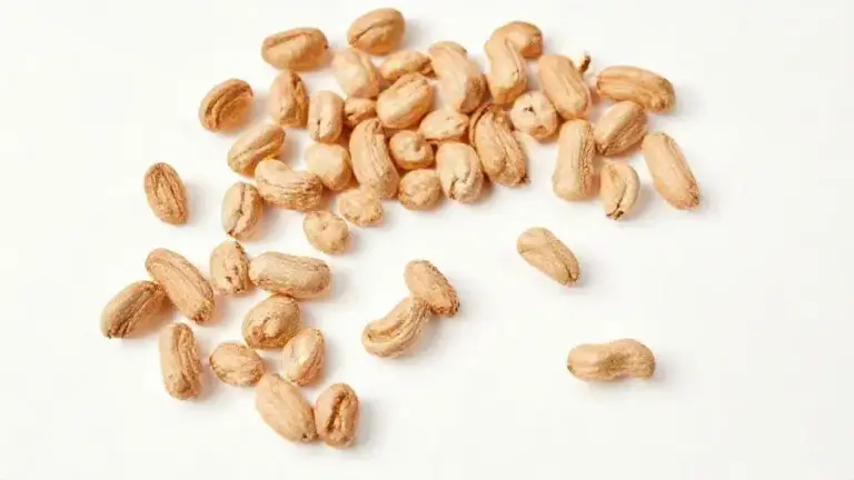 Amendoim: Guia Completo sobre este Nutritivo Ingrediente 6 Amendoim