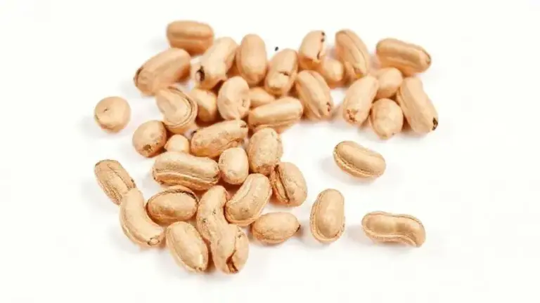 Amendoim Com Casca: Guia Completo para Aproveitar Esse Ingrediente Nutritivo 6 Amendoim Com Casca