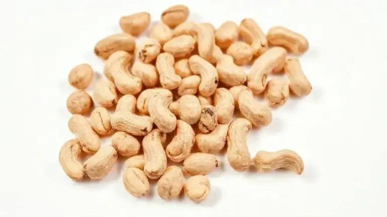 Amendoim Ovinho: Tudo Sobre Esta Oleaginosa Versátil e Saborosa 2 Amendoim Ovinho