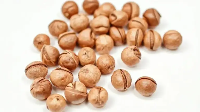 Avelã: Nutrição, Benefícios e Usos no Dia a Dia 8 Avela