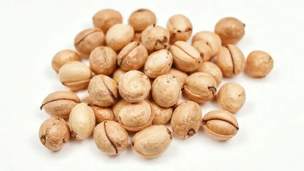 Castanha de Baru Sem Casca: Nutrição e Versatilidade para Sua Dieta 1 Castanha De Baru Sem Casca