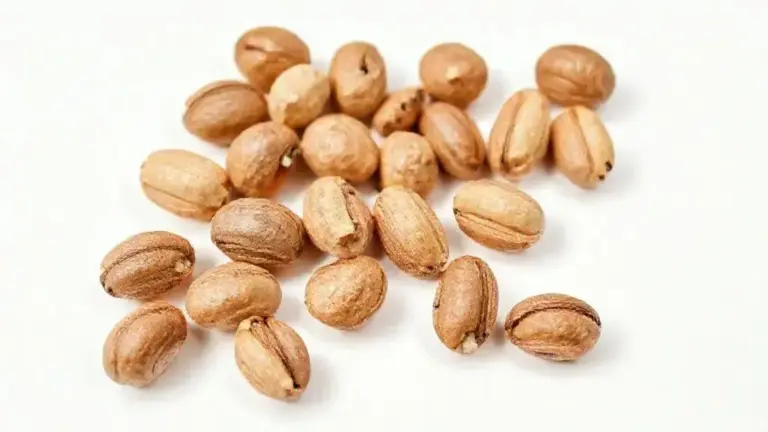 Castanha do Pará: Guia Completo sobre Benefícios, Nutrientes e Uso Saudável 7 Castanha Do Para