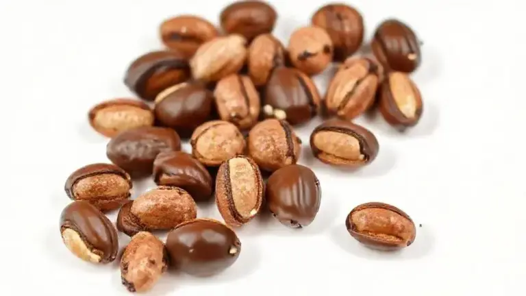 Castanha do Pará com Chocolate: Delícia e Nutrição em Um Só Produto 3 Castanha Do Para Com Chocolate