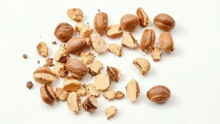 Castanha Do Para Quebrada: Guia Completo para Aproveitar Todos os Benefícios 10 Castanha Do Para Quebrada