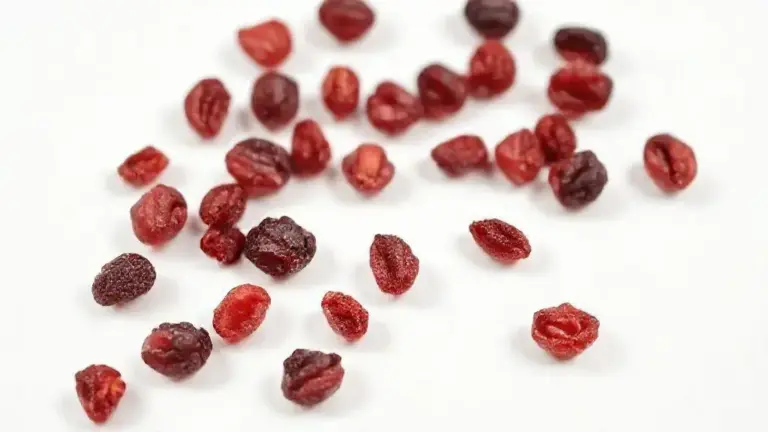 Cranberry Desidratada: Tudo sobre essa fruta versátil e nutritiva 3 Cranberry Desidratada
