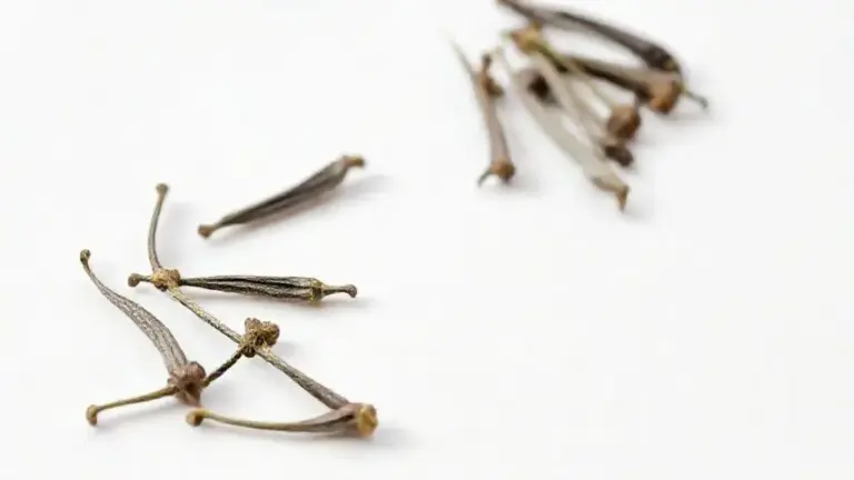 Cravo da Índia em Grão: Guia Completo para Uso e Benefícios 10 Cravo Da India Em Grao