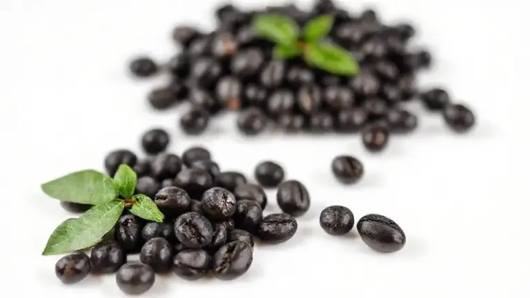 Feijão Preto Extra: Guia Completo para Escolha e Consumo Saudável 3 Feijao Preto Extra