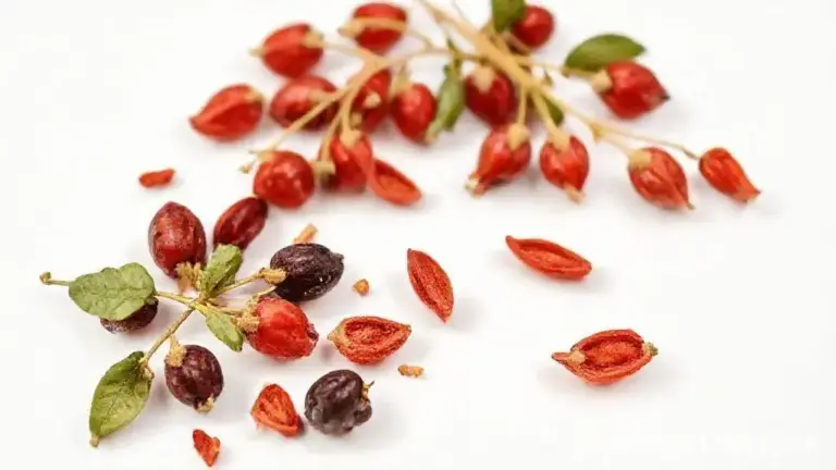 Goji Berry: Guia Completo para Consumir e Aproveitar Seus Benefícios 6 Goji Berry
