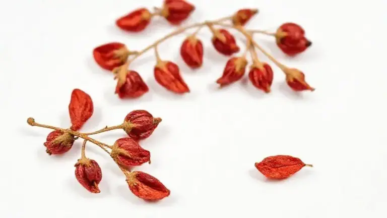 Goji Berry Desidratada: Guia Completo sobre o Superalimento Natural 4 Goji Berry Desidratada
