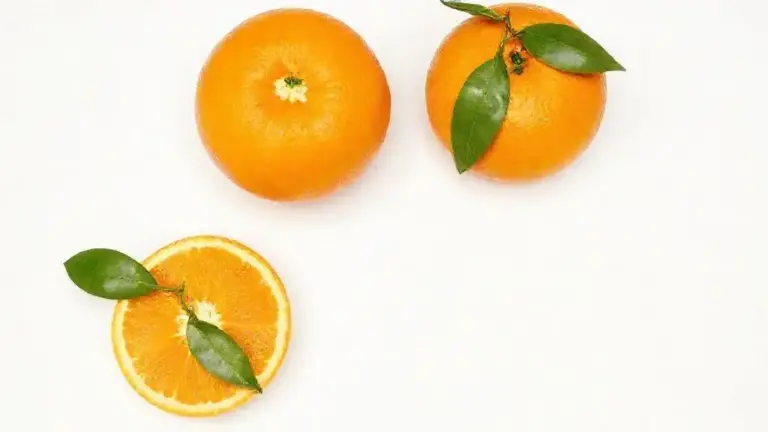 Laranja: benefícios, usos e dicas para aproveitar ao máximo 5 Laranja