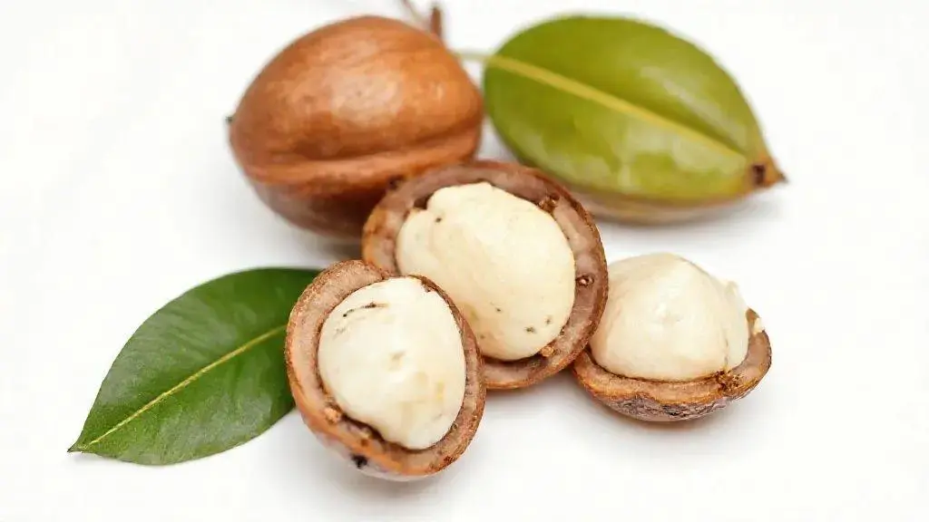 Noz de Cola: Guia Completo para Conhecer e Usar esse Ingrediente Natural 1 Noz De Cola