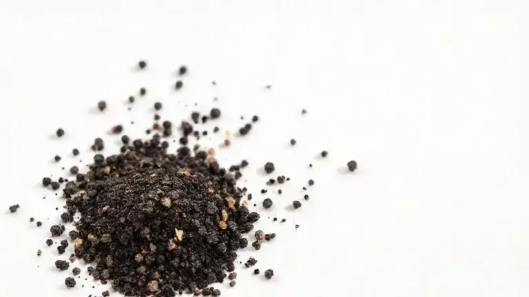 Pimenta Do Reino Em Pó: Guia Completo Sobre Este Temperos Essencial 6 Pimenta Do Reino Em Po