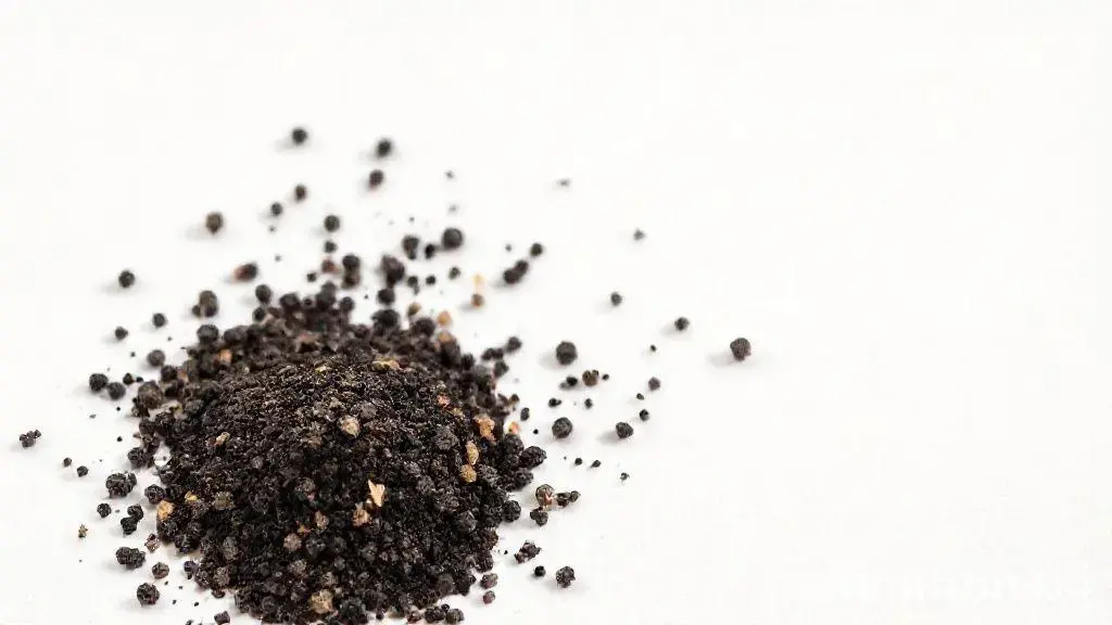 Pimenta Do Reino Em Pó: Guia Completo Sobre Este Temperos Essencial 1 Pimenta Do Reino Em Po