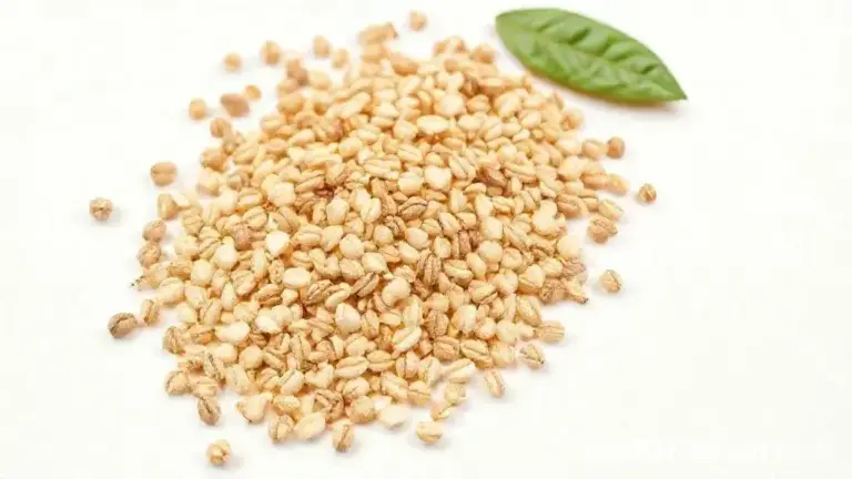 Pinhão: Nutrientes, Benefícios e Como Usar Este Saboroso Ingrediente 1 Pinhao