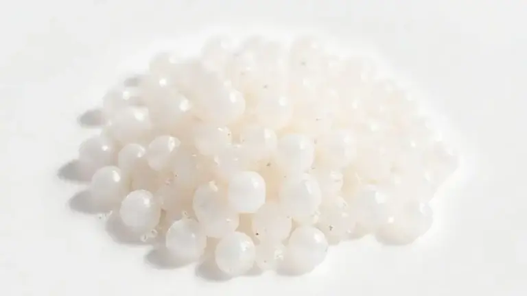 Sagu: Guia Completo para Aproveitar esse Clássico da Culinária Brasileira 3 Sagu