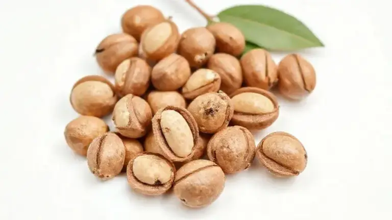 Sapucaia: Benefícios, Como Consumir e Guia Completo 3 Sapucaia