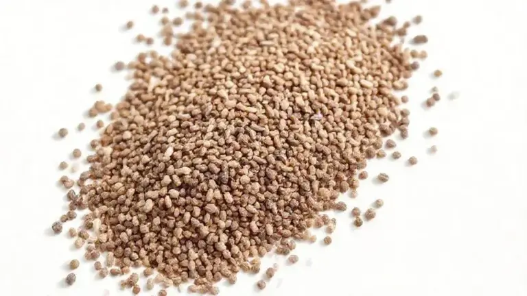 Semente de Chia: Guia Completo para Aproveitar Todos os Benefícios 2 Semente De Chia