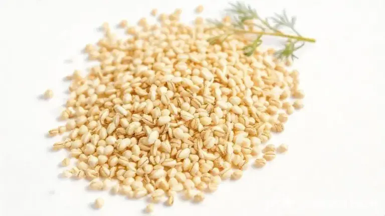 Semente de Erva Doce: Guia Completo para Usar e Aproveitar seus Benefícios 5 Semente De Erva Doce