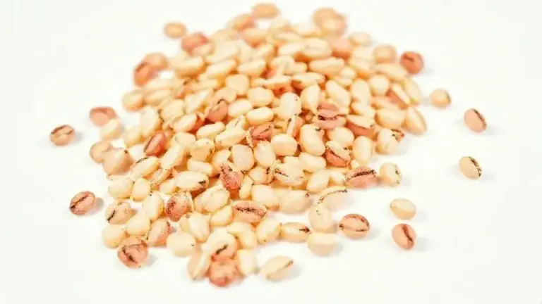 Semente de Melancia: Nutrientes, Benefícios e Como Usar no Seu Dia a Dia 8 Semente De Melancia