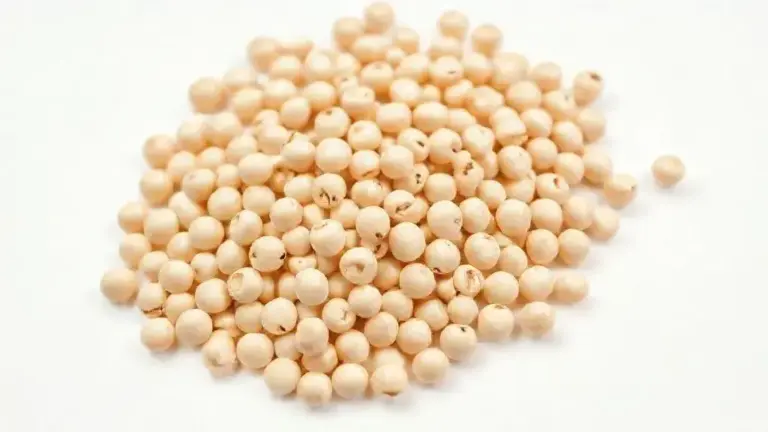 Soja em Grão: Guia Completo para Aproveitar este Ingrediente Versátil e Nutritivo 10 Soja Em Grao