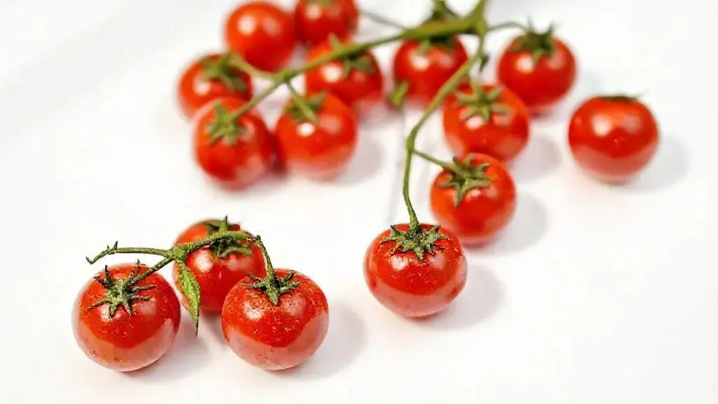 Tomate Cereja Glaceado: guia completo para uso e benefícios 1 Tomate Cereja Glaceado